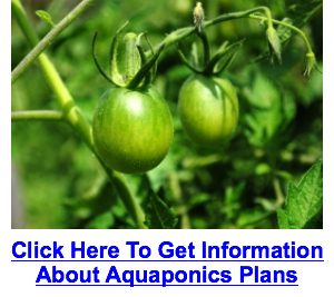 Aquaponics Gardening Information